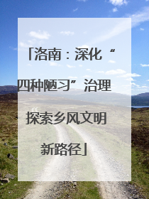 洛南：深化“四种陋习”治理 探索乡风文明新路径