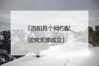 洛阳首个网约配送党支部成立