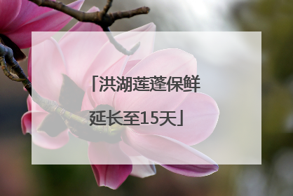 洪湖莲蓬保鲜延长至15天