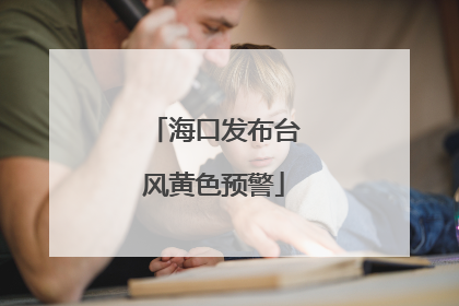 海口发布台风黄色预警