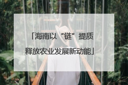 海南以“链”提质 释放农业发展新动能