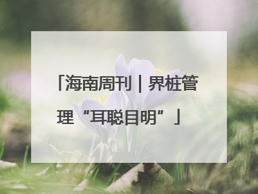 海南周刊｜界桩管理“耳聪目明”
