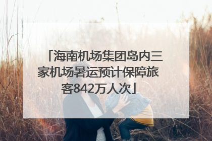 海南机场集团岛内三家机场暑运预计保障旅客842万人次