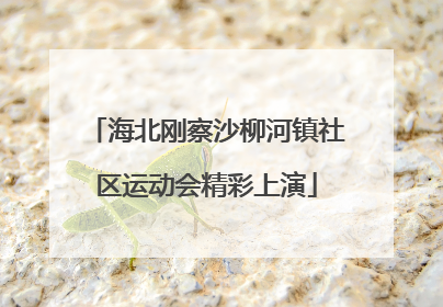 海北刚察沙柳河镇社区运动会精彩上演