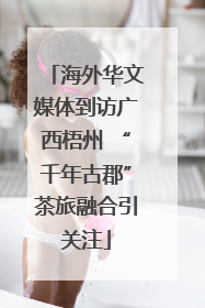 海外华文媒体到访广西梧州 “千年古郡”茶旅融合引关注