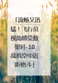 流畅又迅猛！飞行员视角感受数架歼-10战机空中近距格斗