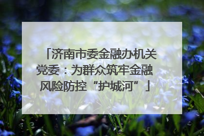 济南市委金融办机关党委：为群众筑牢金融风险防控“护城河”