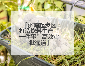 济南起步区：打造饮料生产“一件事”高效审批通道