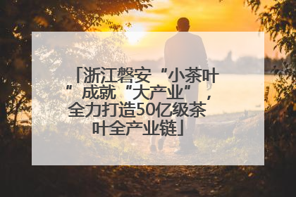 浙江磐安“小茶叶”成就“大产业”，全力打造50亿级茶叶全产业链