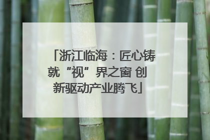 浙江临海：匠心铸就“视”界之窗 创新驱动产业腾飞