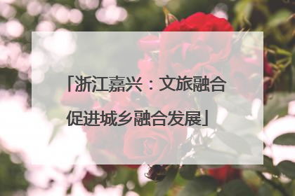 浙江嘉兴：文旅融合促进城乡融合发展