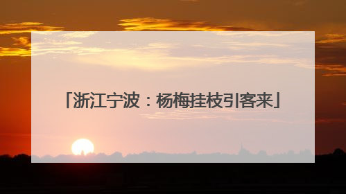 浙江宁波：杨梅挂枝引客来
