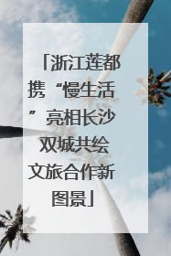浙江莲都携“慢生活”亮相长沙 双城共绘文旅合作新图景