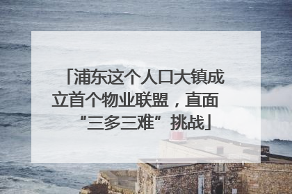 浦东这个人口大镇成立首个物业联盟，直面“三多三难”挑战