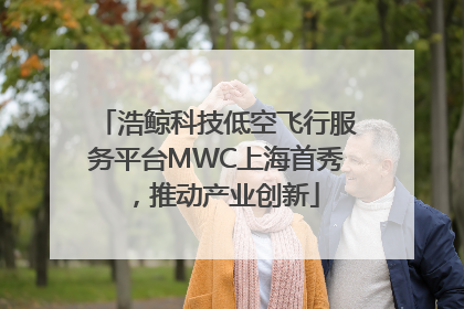 浩鲸科技低空飞行服务平台MWC上海首秀，推动产业创新