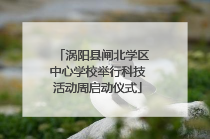 涡阳县闸北学区中心学校举行科技活动周启动仪式