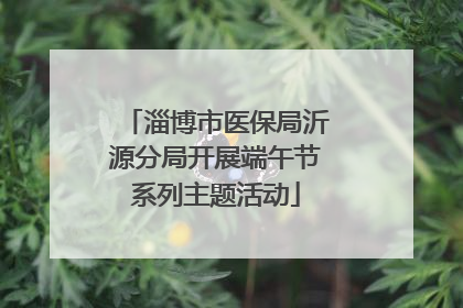 淄博市医保局沂源分局开展端午节系列主题活动