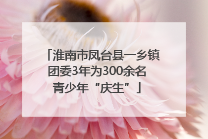 淮南市凤台县一乡镇团委3年为300余名青少年“庆生”