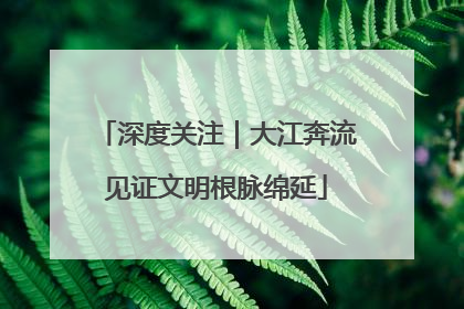 深度关注｜大江奔流见证文明根脉绵延