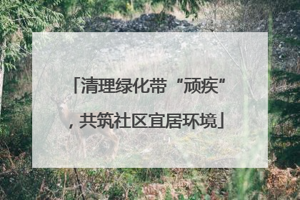 清理绿化带“顽疾”，共筑社区宜居环境