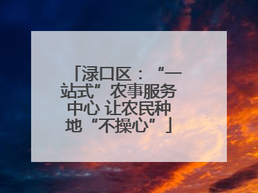 渌口区：“一站式”农事服务中心 让农民种地“不操心”