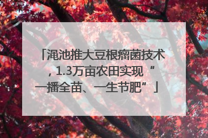 渑池推大豆根瘤菌技术，1.3万亩农田实现“一播全苗、一生节肥”