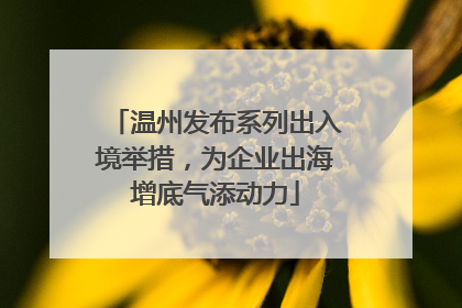 温州发布系列出入境举措，为企业出海增底气添动力