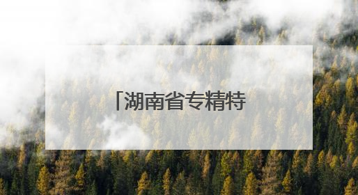 湖南省专精特新“小巨人”企业培育政策解读会在长沙举办