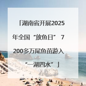 湖南省开展2025年全国“放鱼日” 7200多万尾鱼苗游入“一湖四水”