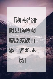 湖南省湘阴县横岭湖麋鹿家族再添三名新成员