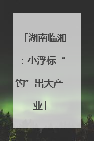 湖南临湘：小浮标“钓”出大产业