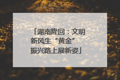 湖南隆回：文明新风生“黄金” 振兴路上展新姿