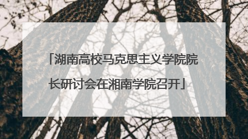 湖南高校马克思主义学院院长研讨会在湘南学院召开