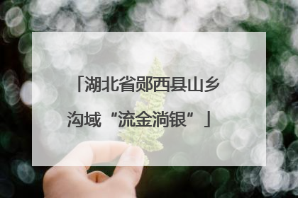 湖北省郧西县山乡沟域“流金淌银”