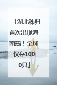 湖北秭归首次出现海南鳽！全球仅存1000只