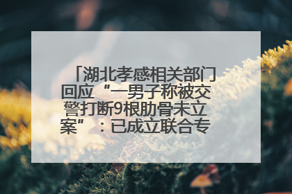 湖北孝感相关部门回应“一男子称被交警打断9根肋骨未立案”：已成立联合专班开展工作