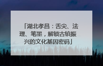 湖北孝昌：舌尖、法理、笔墨，解锁古镇振兴的文化基因密码