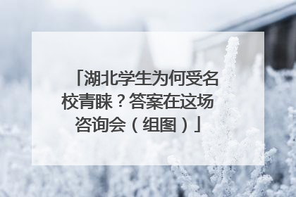 湖北学生为何受名校青睐？答案在这场咨询会（组图）