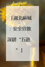 湖北麻城：安全宣教深耕“五进”