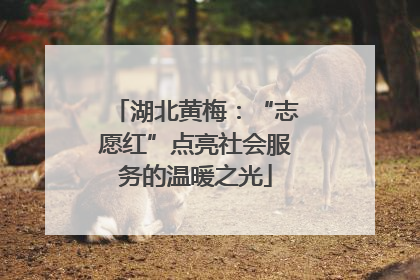 湖北黄梅：“志愿红”点亮社会服务的温暖之光