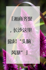 湘商齐聚，长沙这里掀起“头脑风暴”