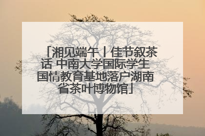 湘见端午丨佳节叙茶话 中南大学国际学生国情教育基地落户湖南省茶叶博物馆