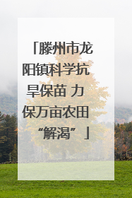 滕州市龙阳镇科学抗旱保苗 力保万亩农田“解渴”