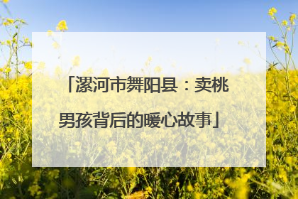 漯河市舞阳县：卖桃男孩背后的暖心故事