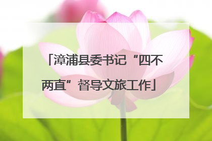 漳浦县委书记“四不两直”督导文旅工作