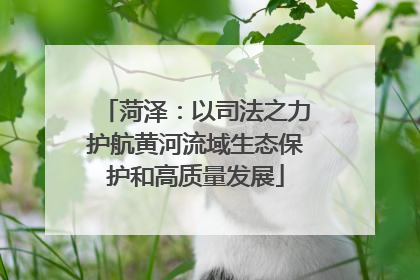 菏泽：以司法之力护航黄河流域生态保护和高质量发展