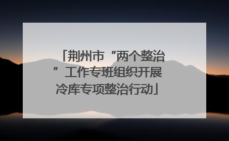 荆州市“两个整治”工作专班组织开展冷库专项整治行动