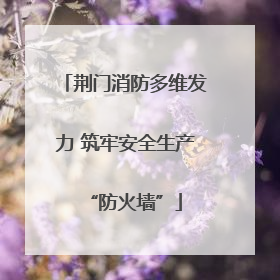 荆门消防多维发力 筑牢安全生产“防火墙”