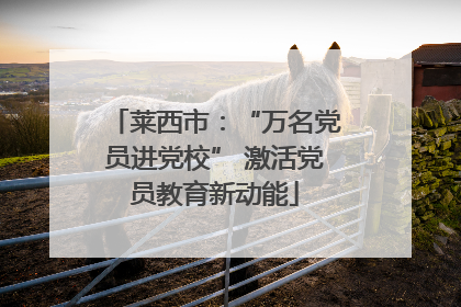 莱西市：“万名党员进党校” 激活党员教育新动能