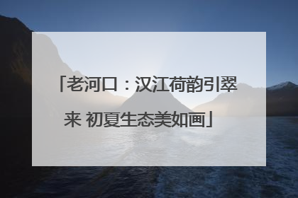 老河口：汉江荷韵引翠来 初夏生态美如画